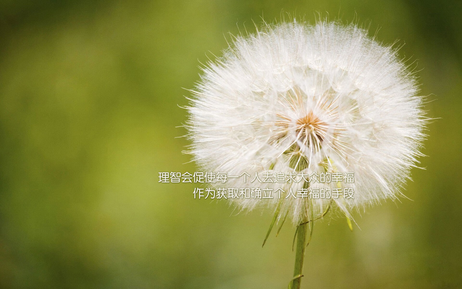 _热火队的防守坚若磐石，击退对手攻势_，热火队强不强