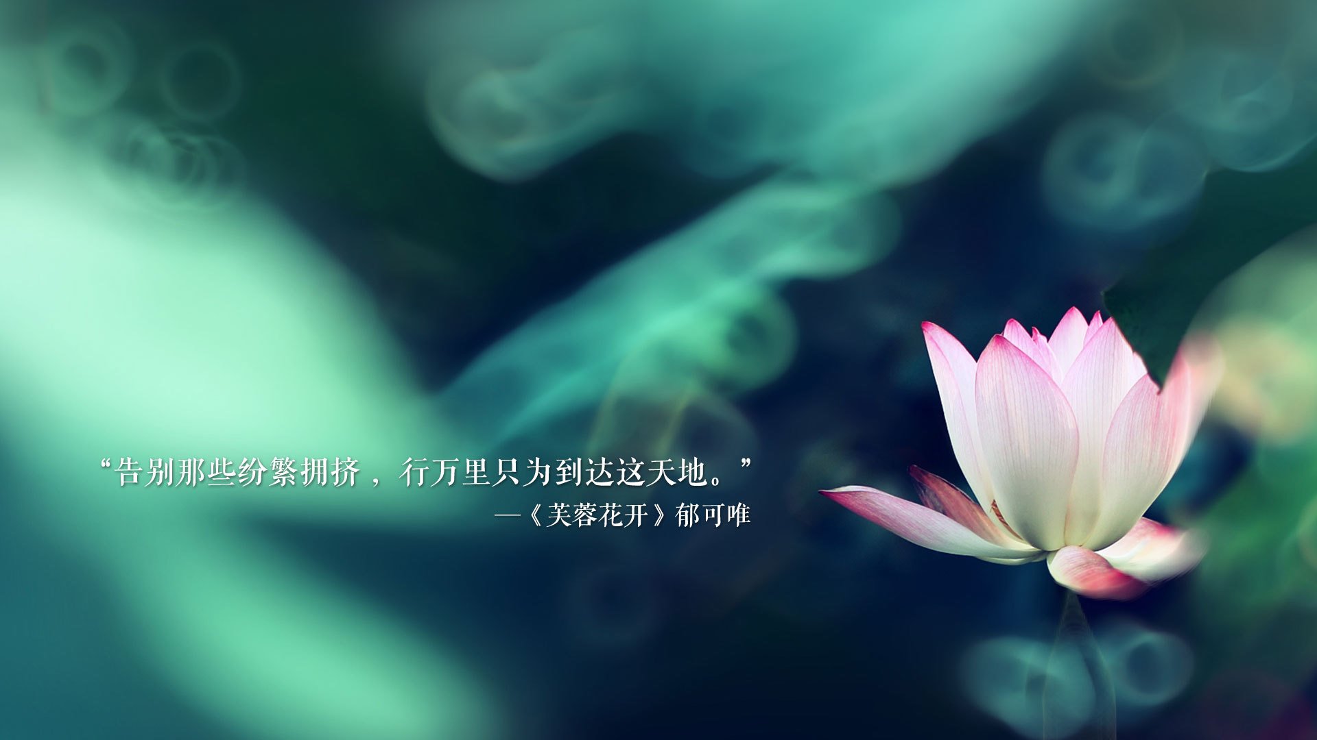 全国青少年“篮球教育联盟”正式成立，推动青训行业规范化，全国青少年篮球训练营