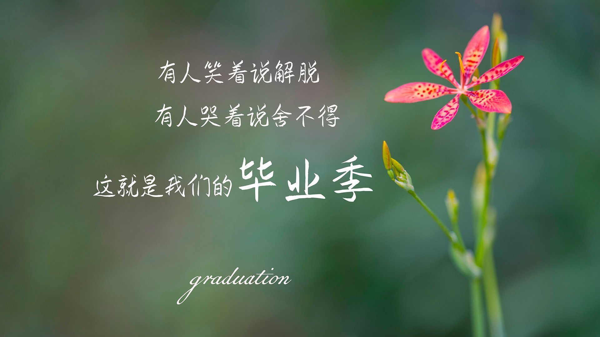 九游9游-法甲豪门激战，精彩进球和战术调整百出，法甲豪门球队