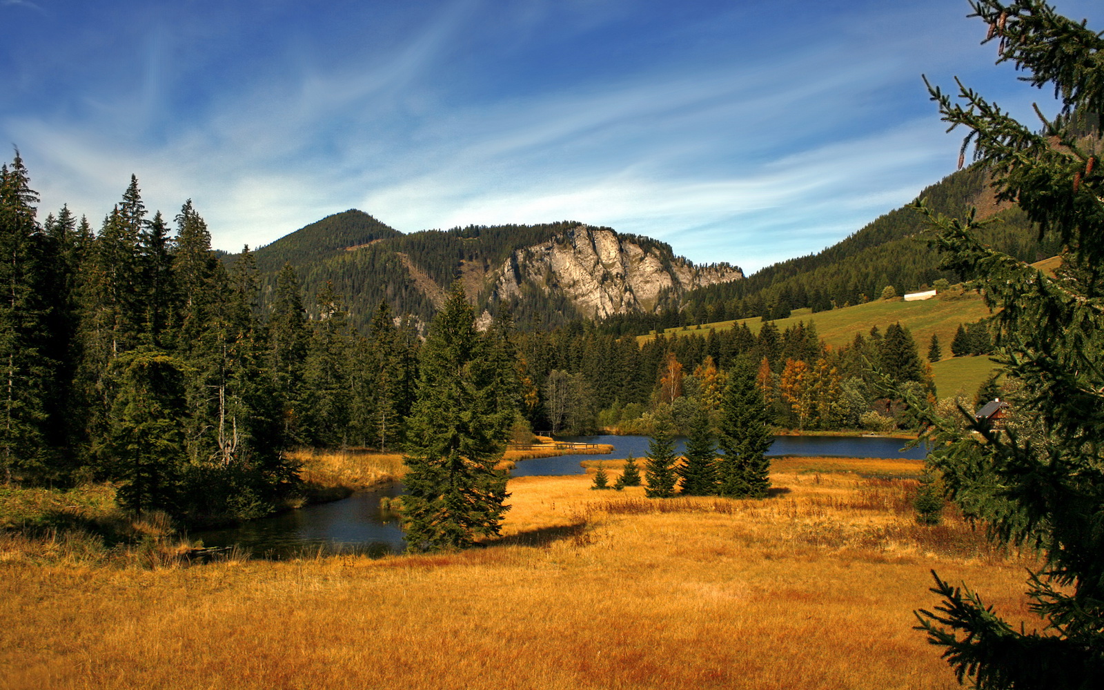 印度赛制解析：全球化背景下的本土发展，印度赛区