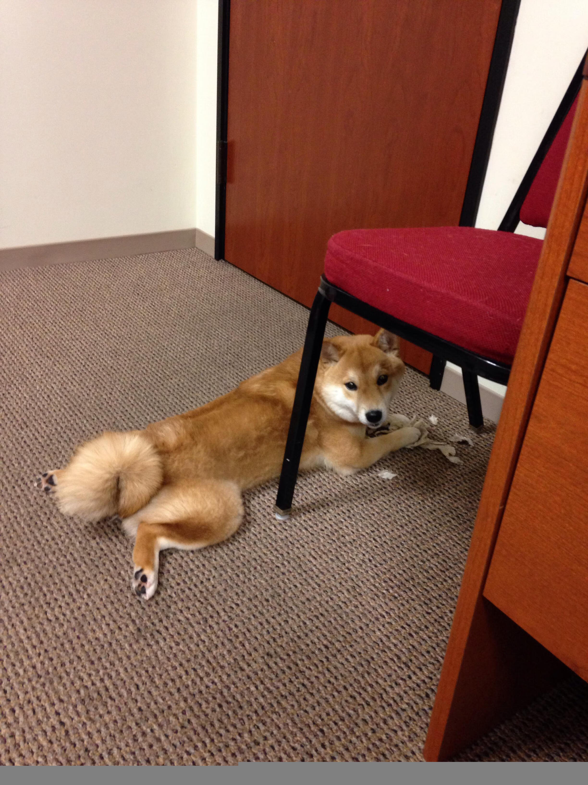 Jiuyou-基层足球教练缺乏系统培训机会，基层足球教练缺乏系统培训机会怎么办