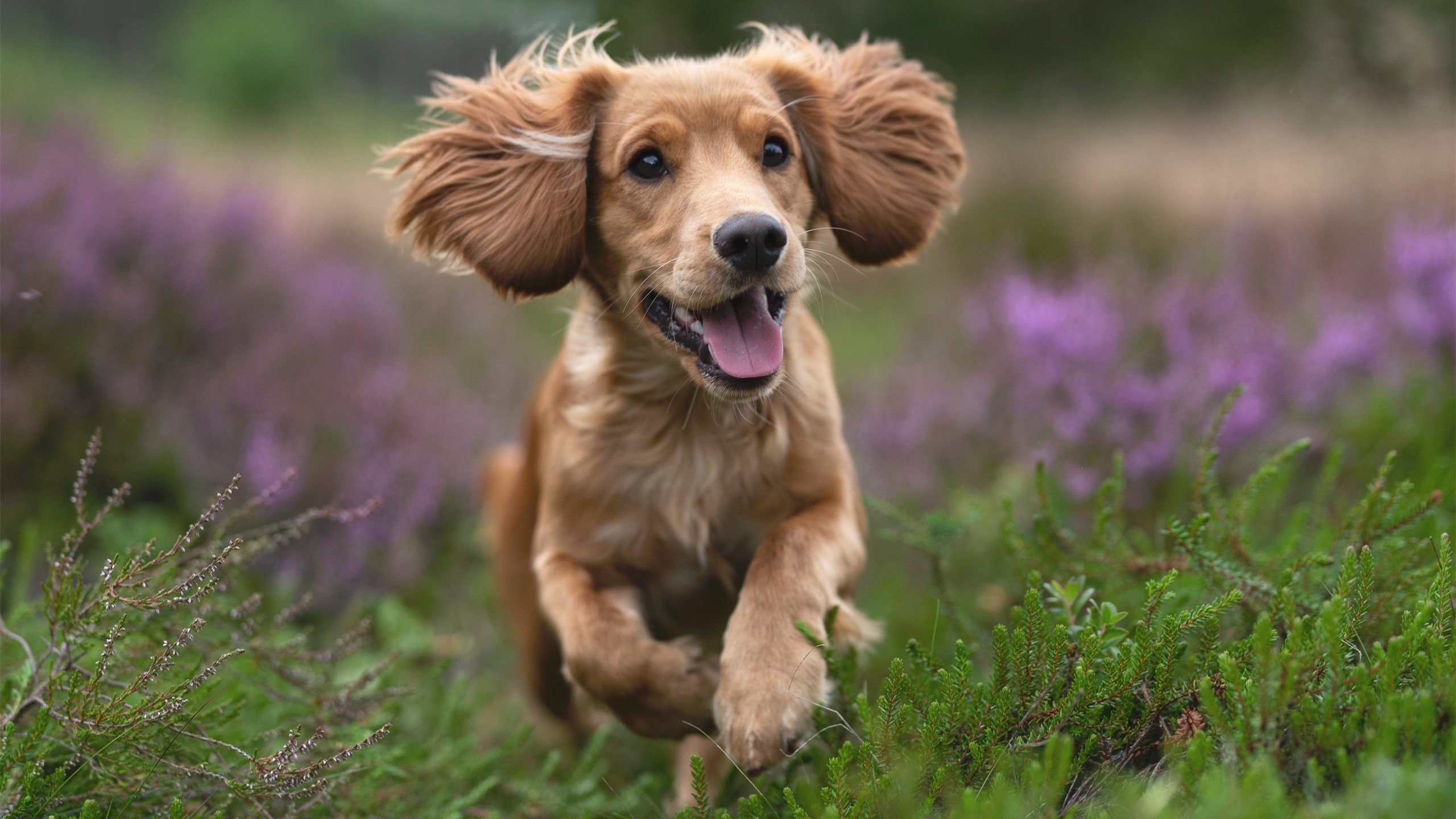 九游jiuyou-比赛节奏决定控球率还是控球时间，比赛节奏名词解释