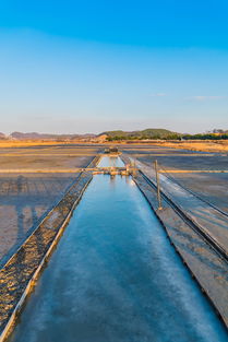 九游娱乐官网 (JIUYOU)-生态+赛事，兴隆湖引领水上马拉松潮流，兴隆湖有水了吗