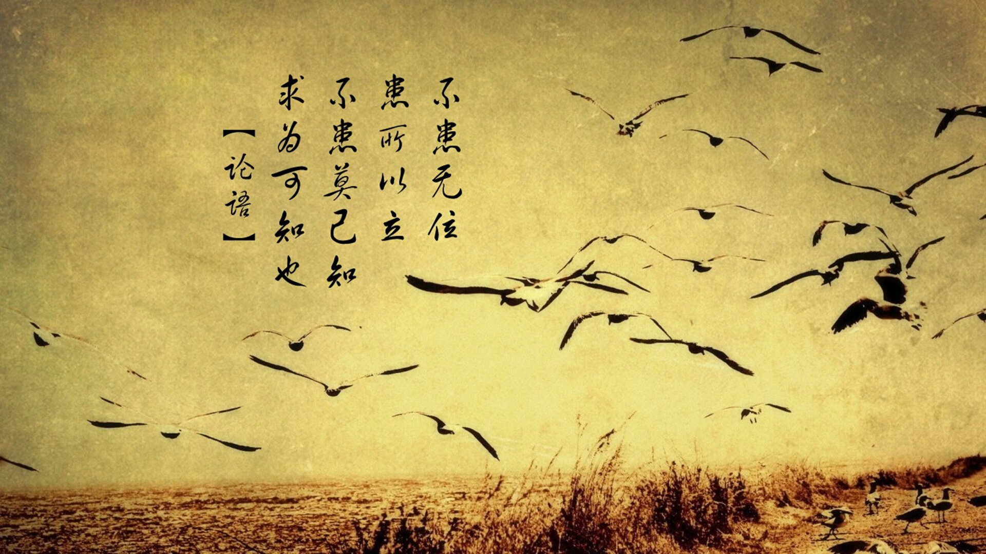 九游sports-水球防守体系努力突破复杂对抗，水球战术