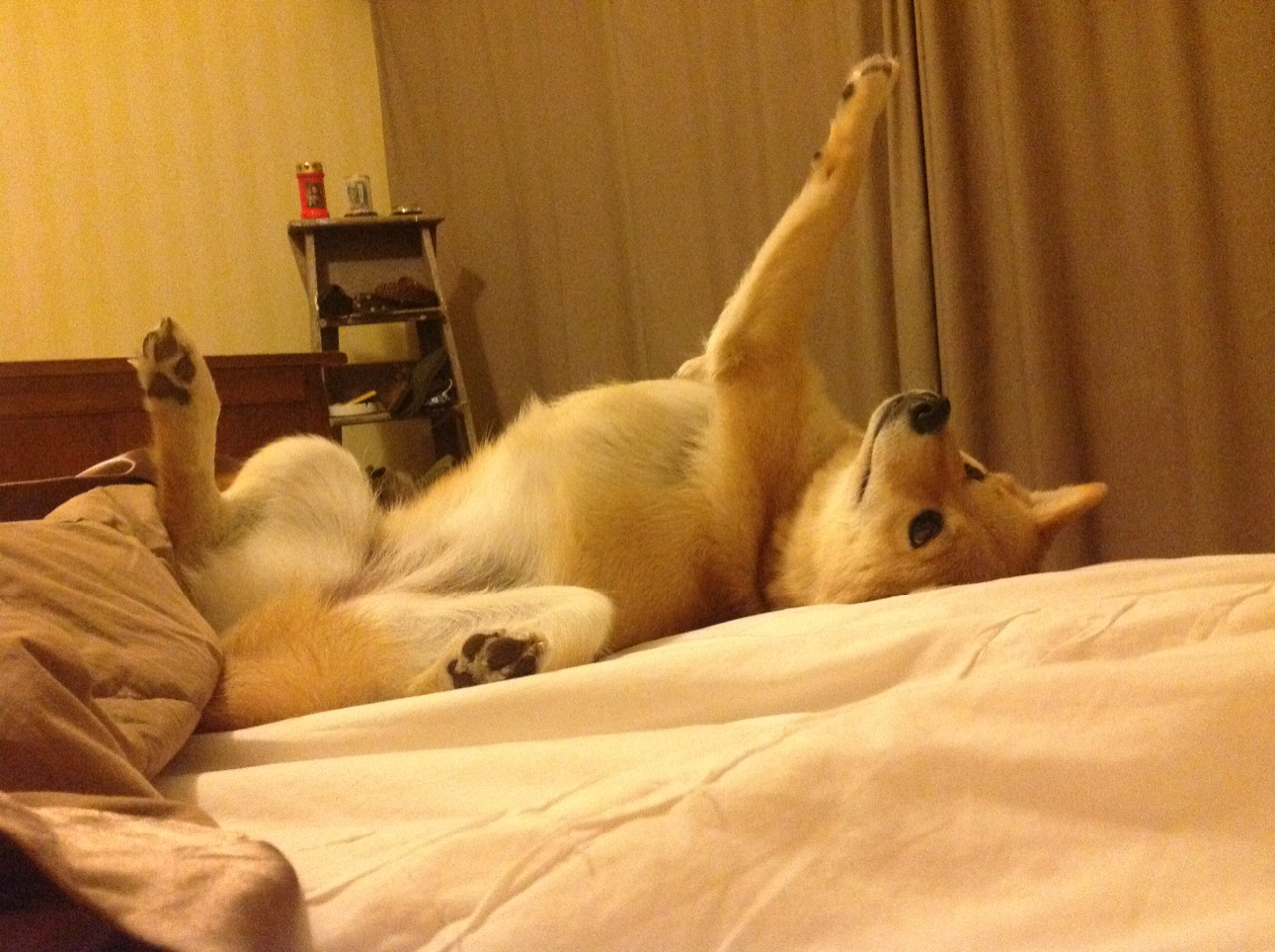 九游娱乐(jiuyou)官方网站-球迷与球员互动日直播，拉近明星与粉丝距离，球迷分享