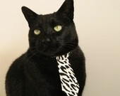 青少年球员跨区域选拔机制建立保障公平竞争环境,青少年球员转会规定