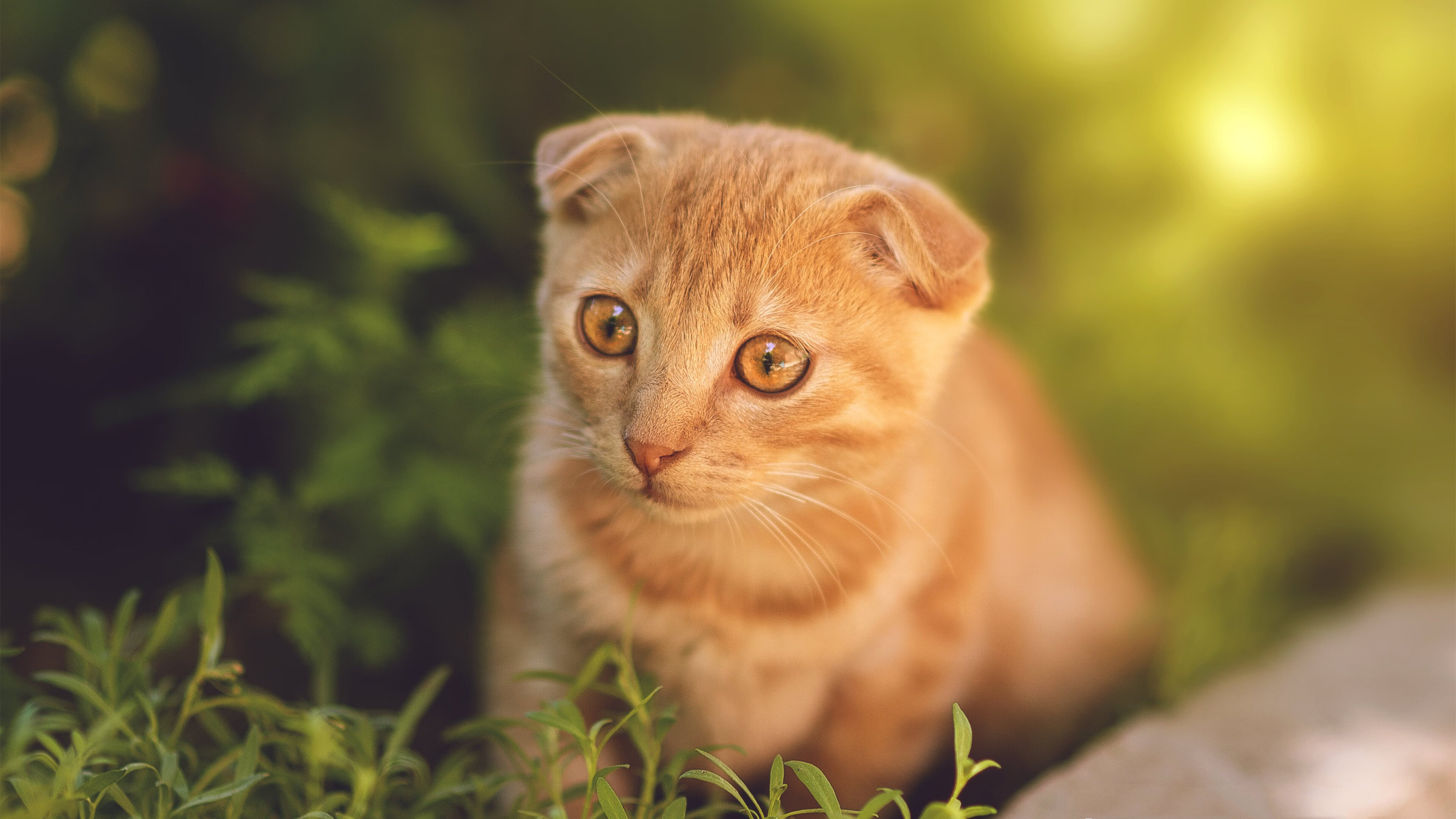 九游娱乐(jiuyou)官方网站-职业联赛实行薪资透明化规范促进球队健康运营，职业球队的收入来源