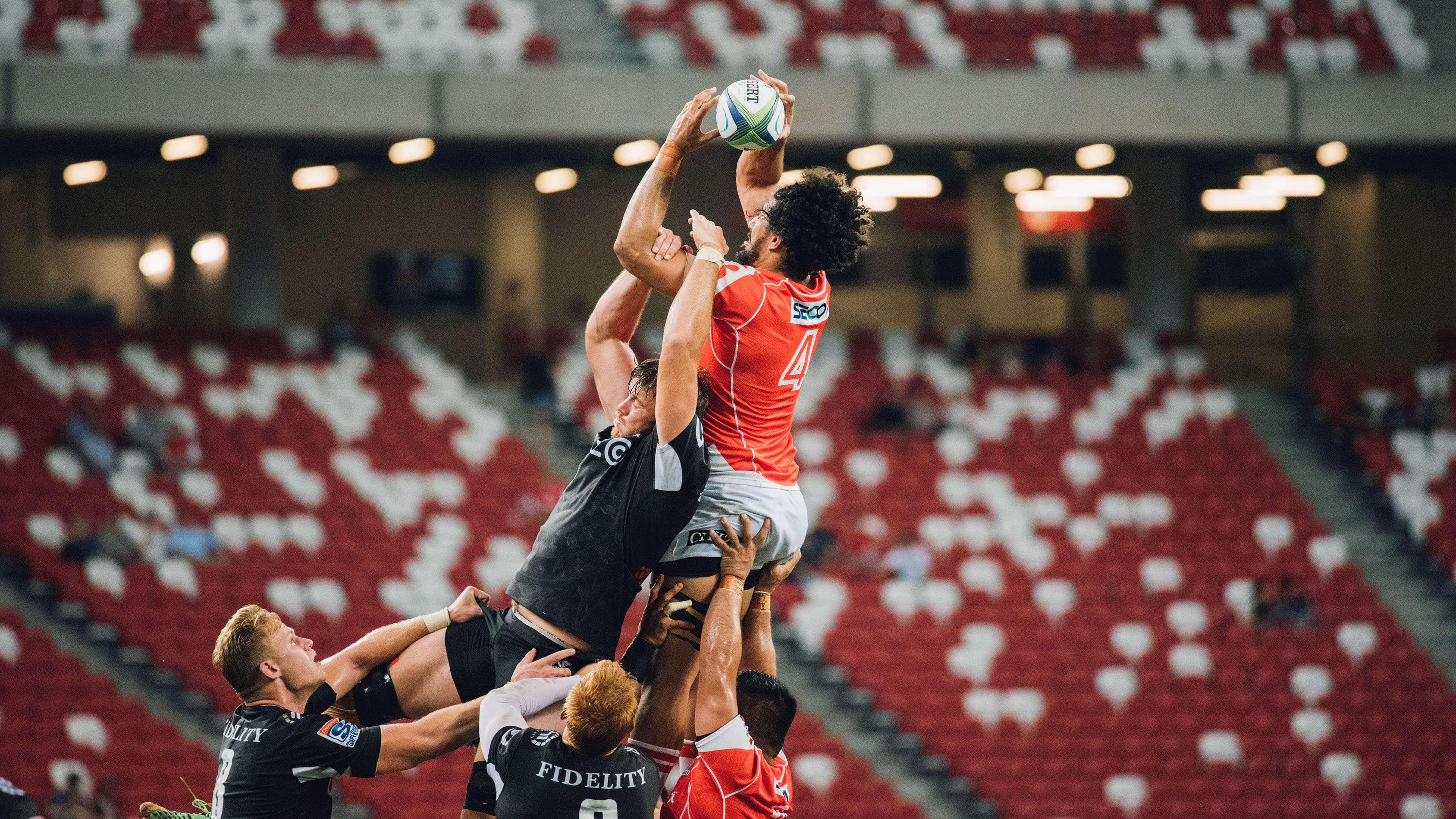 _生态运动公园:在自然中畅享运动时光_,生态体育主题公园