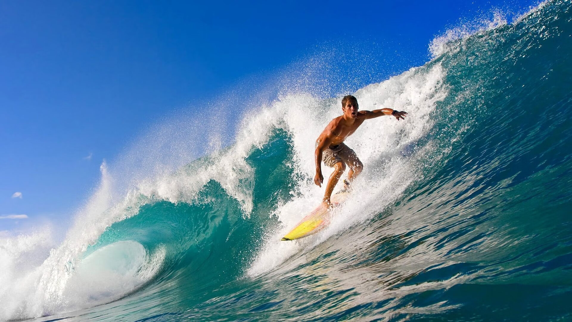 克罗地亚马术协会开展马匹福利宣传活动，提升公众意识。